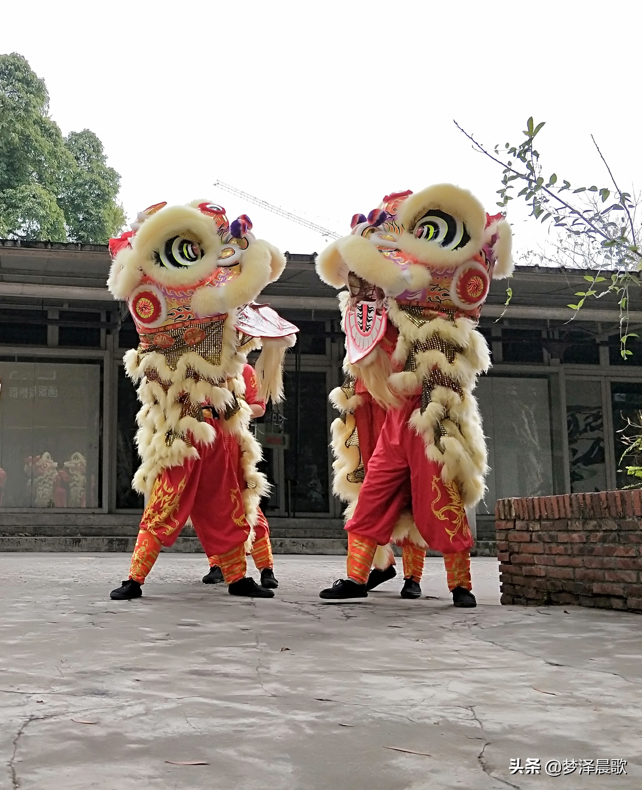 猪年大吉喜气洋洋广场舞,猪年金猪大吉广场舞