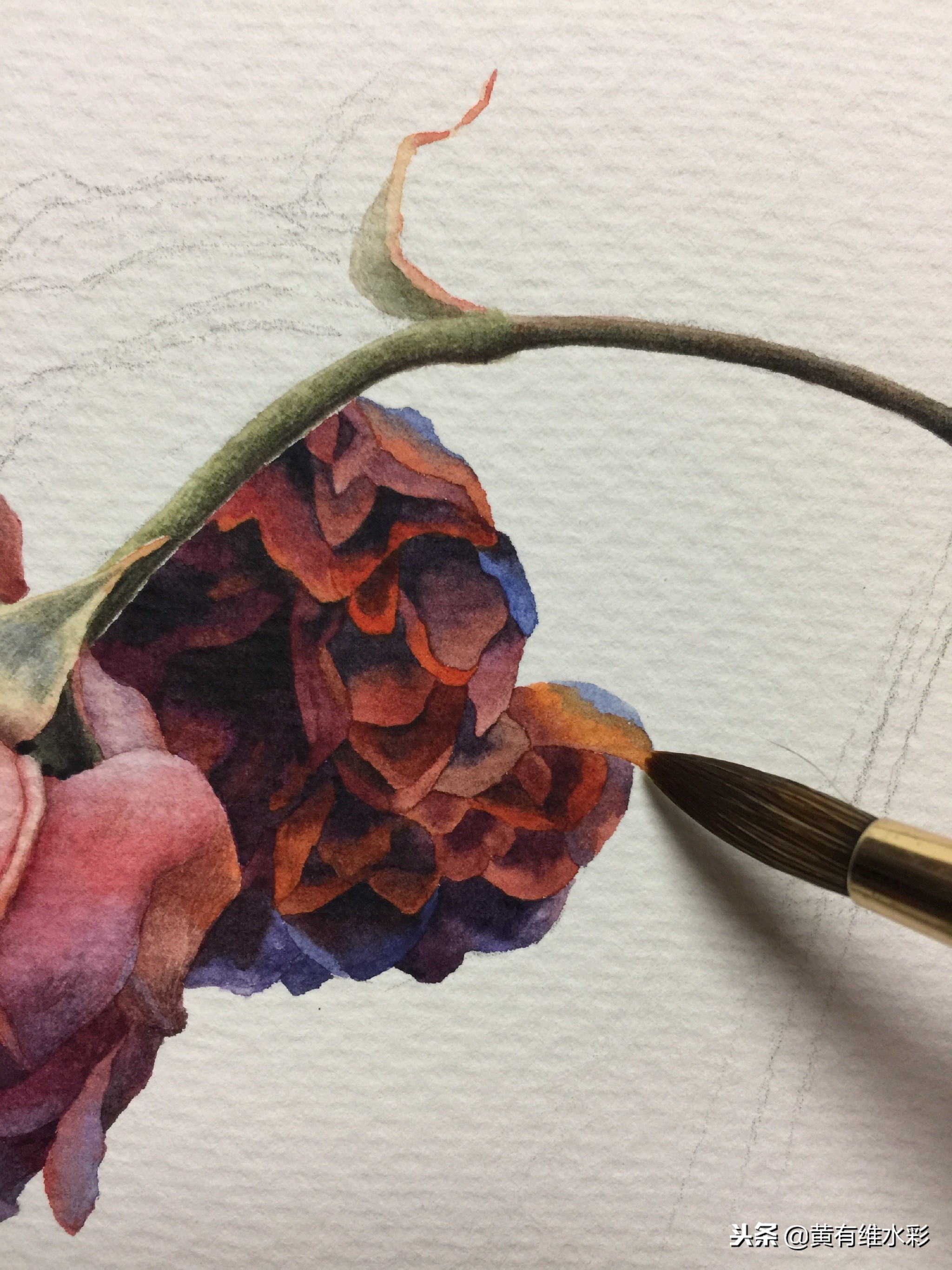 水彩教程简单好看手绘图片,水彩教程画花