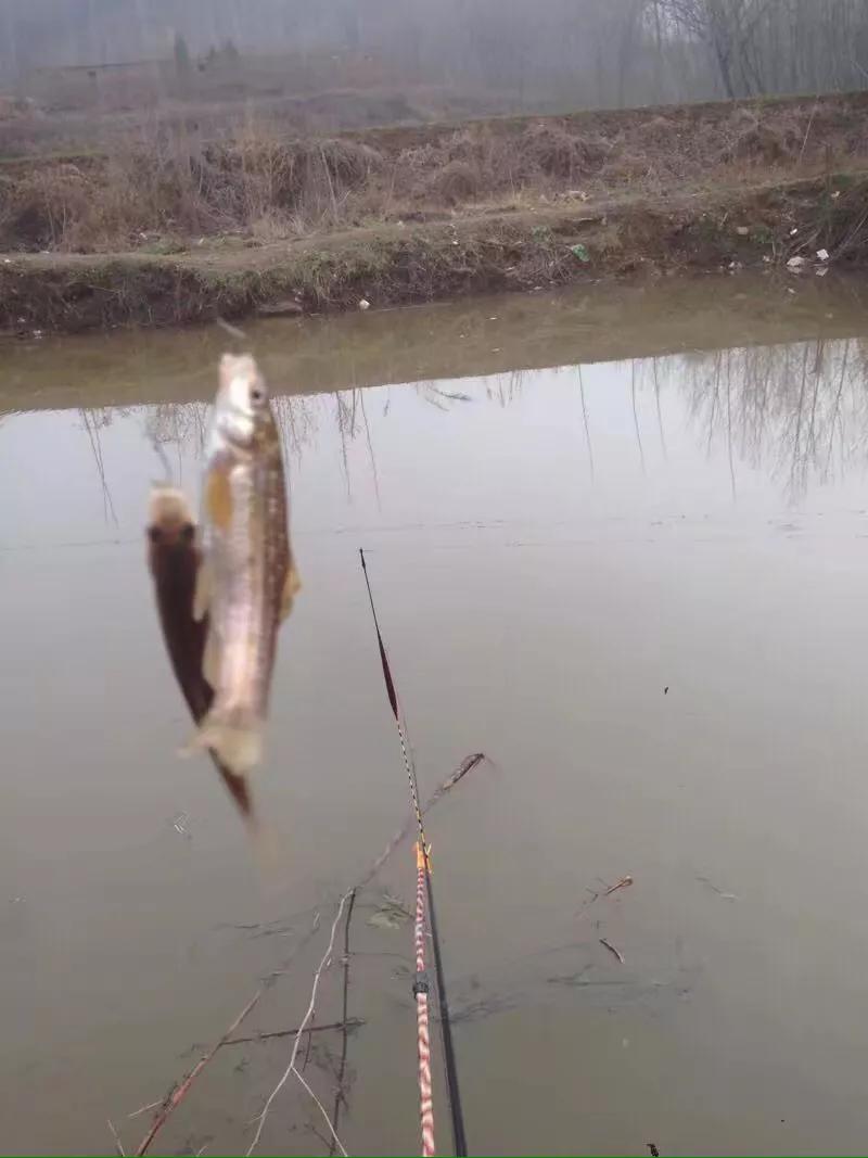 天时地利人和方为致胜,天时地利人和钓鱼