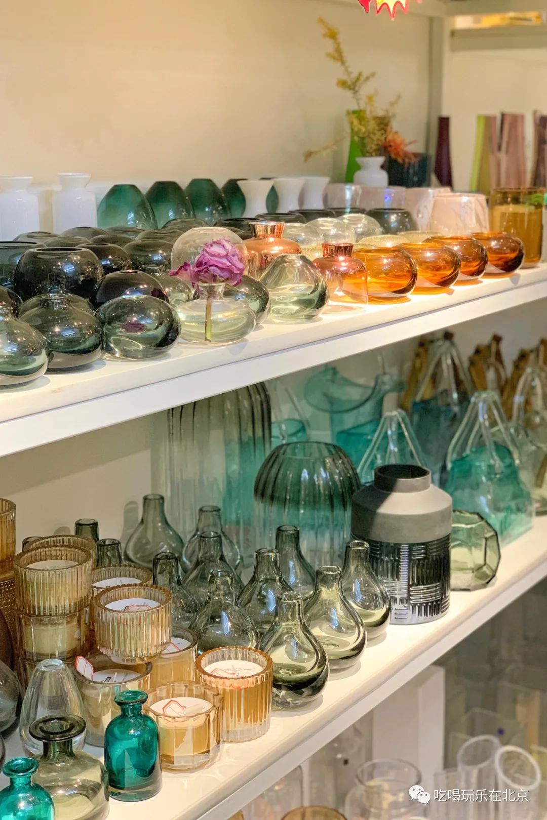 北京花市攻略大全,北京最美赏花景点