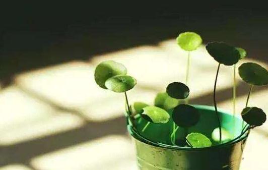 一个人也要风生水起,混得好的人绝对不可能只靠情商