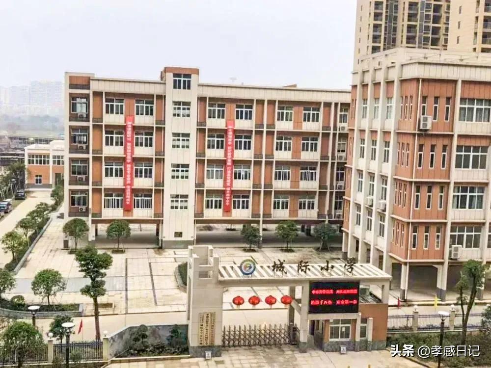 不管你承不承认都是你的错,不管你承不承认都无法否认