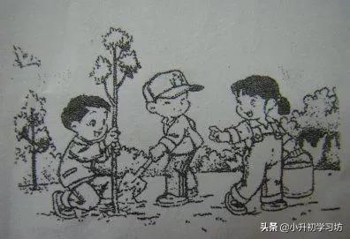 为什么孩子讨厌写看图写话,一年级看图写话会说不会写怎么办