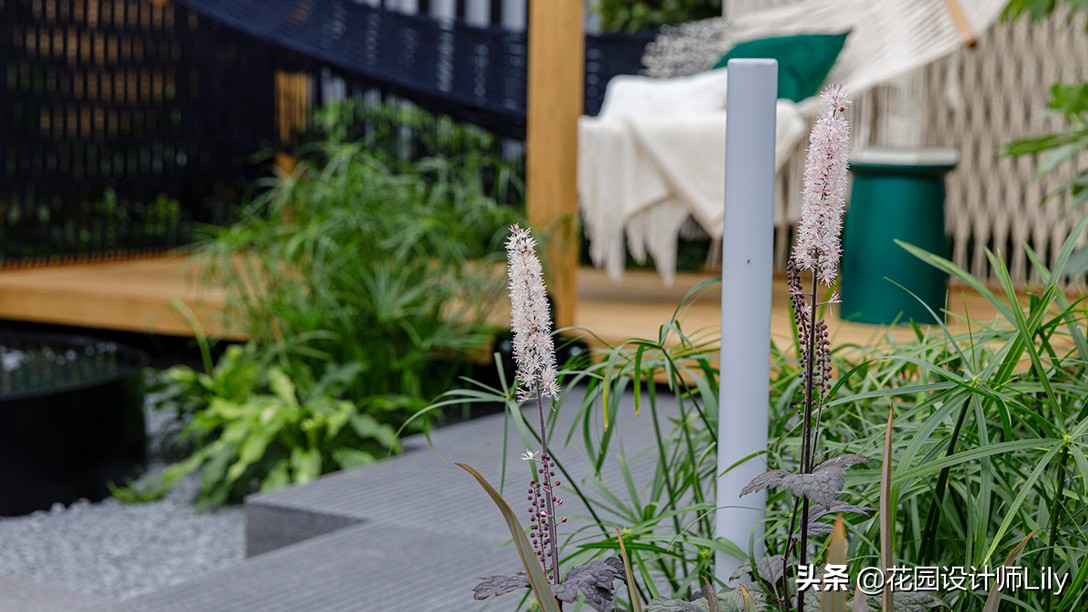 2023年切尔西花展各个花园的介绍,切尔西花展最佳花园