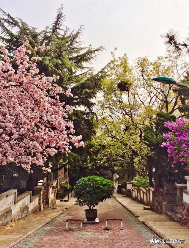 大连市八七疗养院的故事,大连八七疗养院