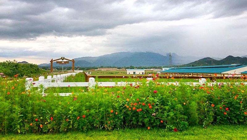 石家庄4a级景区名单,2021年12月石家庄市十大旅游景区