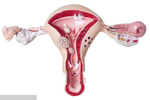 妇科检查宫颈囊肿严重吗,宫颈囊肿的危害有哪些呢