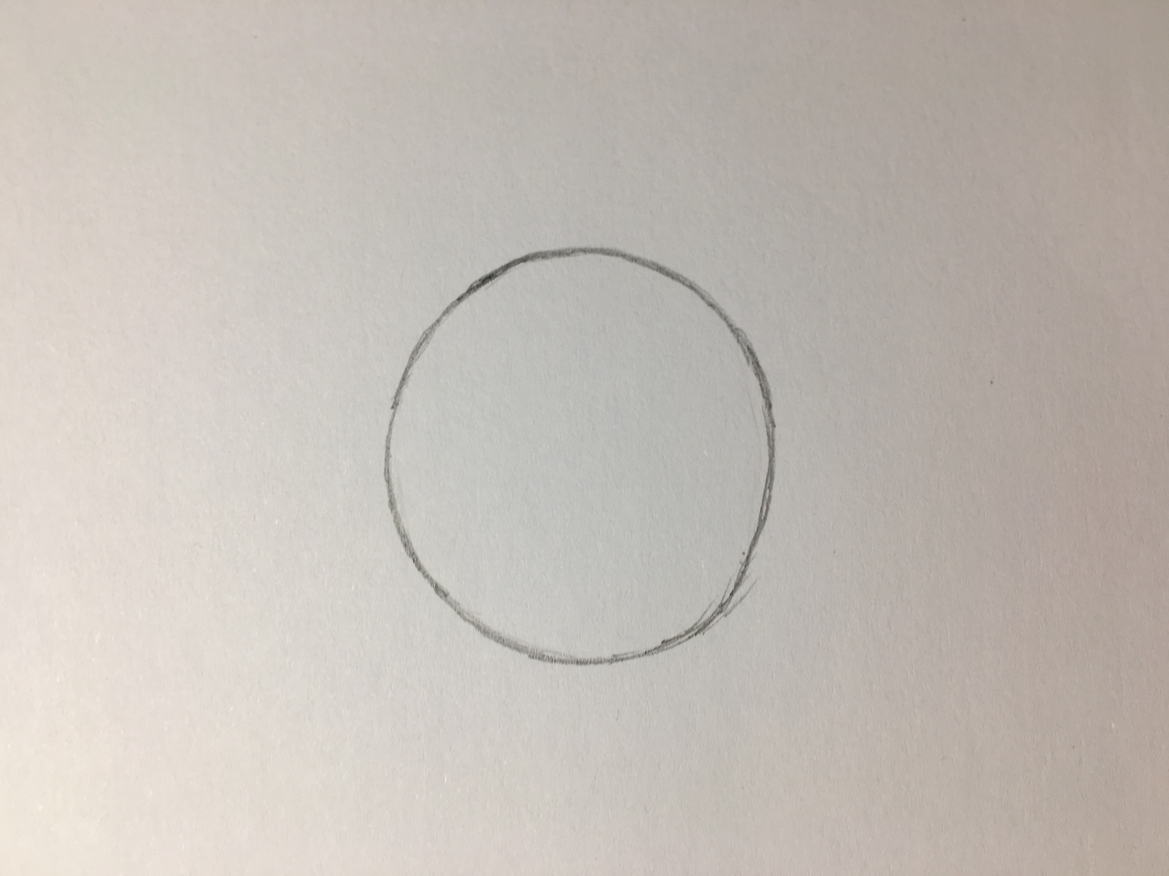 可妮兔怎么画简单又好看,简笔画可妮兔图片