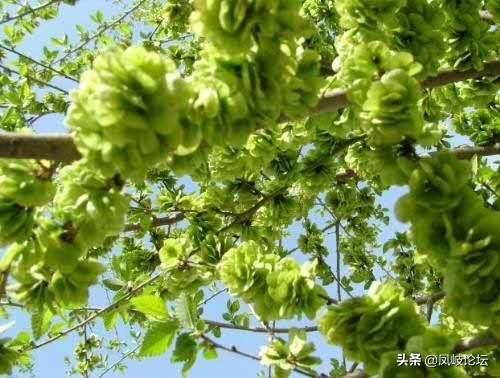 每日一语每天一语,每日一篇每日一言