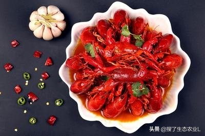 小龙虾养殖最适合养殖的时间,小龙虾养殖需要什么条件和技术