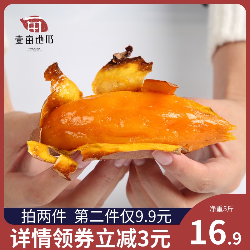 2020年2月16日好货推荐