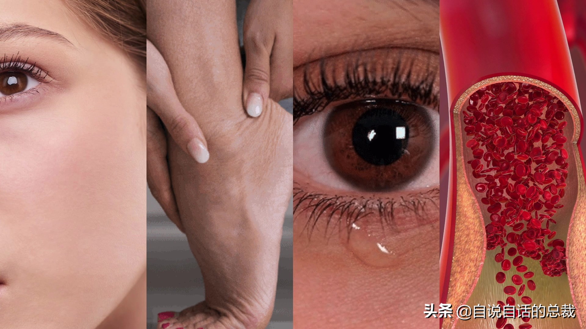 全世界的柠檬都读Lemon?这背后有一个刻在8号染色体上的上古故事