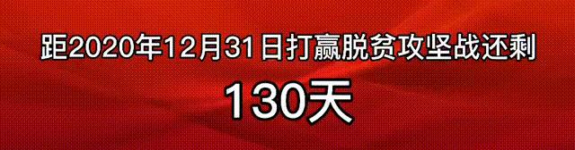 新疆免费网络惠民活动,新疆广电优惠活动