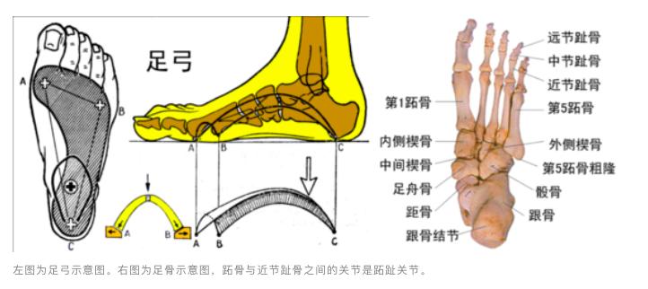 夺命老人鞋有用吗,老人鞋15%致癌物超标