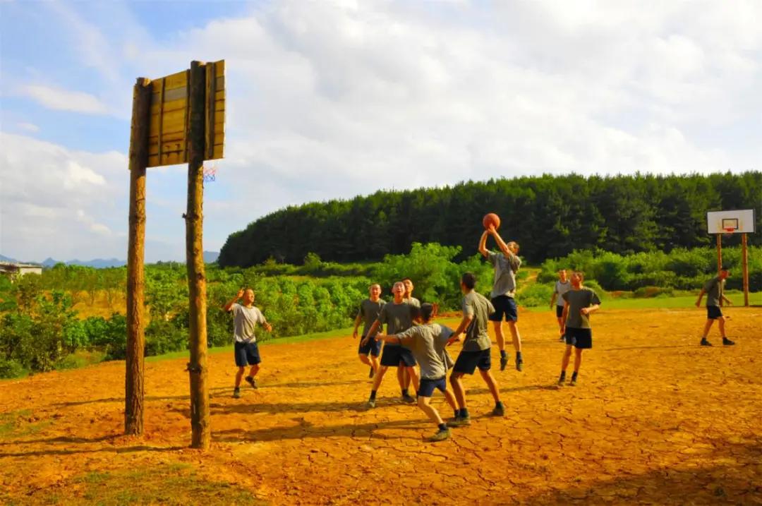美照来袭视频素材,100幅青春美图