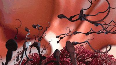 健康自测试纸真的可以测出来吗,验孕棒可以直接插在马桶中吗