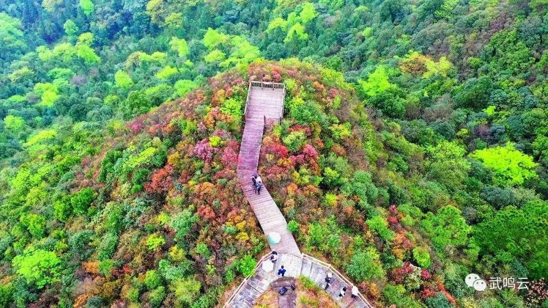 大明山游玩攻略,叮咚户外自驾游