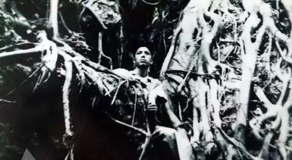 老街讲故事完整版,老街讲故事