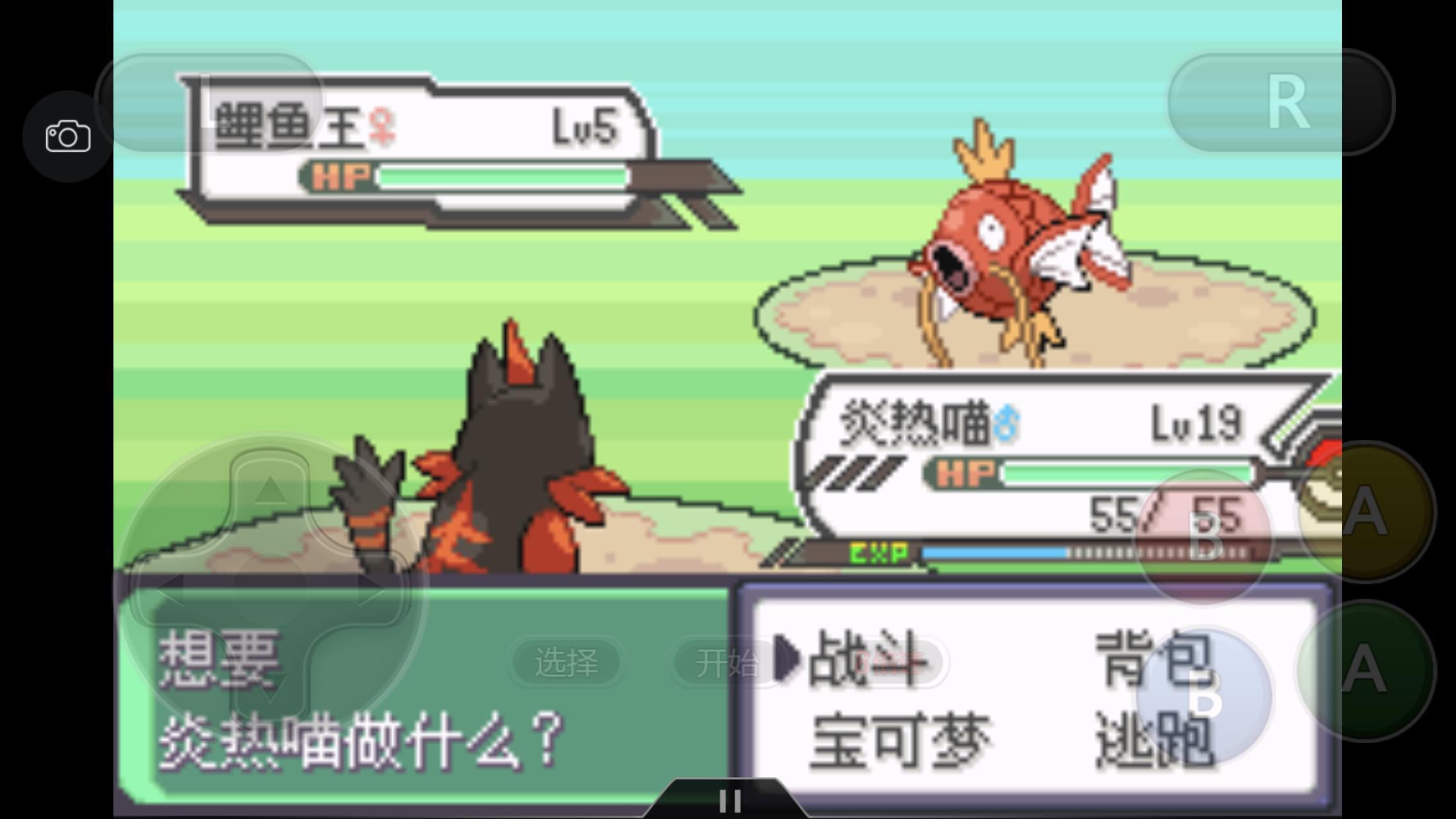 究极绿宝石3一周目完整图文攻略,究极绿宝石5一周目攻略