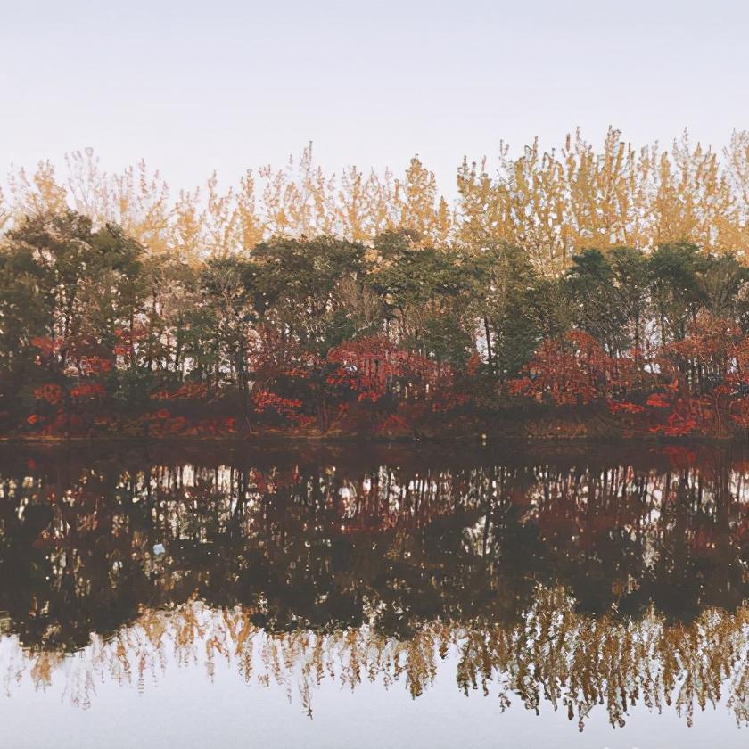 辽宁省盘锦市有什么区,浅谈全国各省份