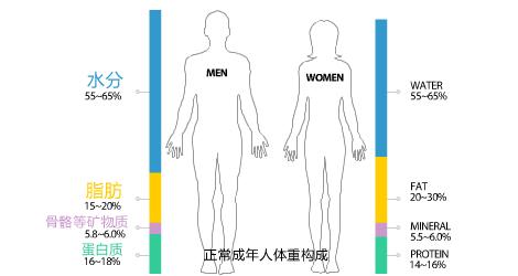 骨灰多年后会变成什么样,骨灰长时间会变成什么样