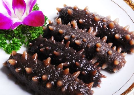 竟有此事？老人白菜价买海参，孩子偷偷去鉴定结果令人大吃一惊