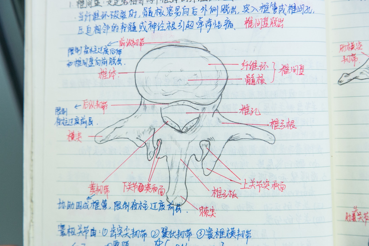 跟着老师学做学霸笔记,跟着记忆大师学习高效背诵的秘诀