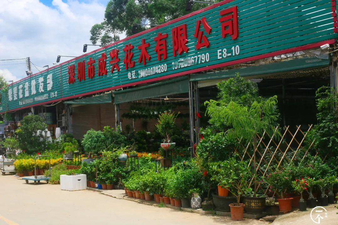 布吉老街粮食大厦房租,布吉下李朗单间房租