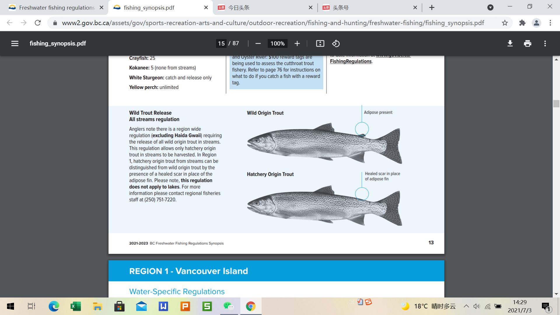 加拿大钓鱼证办理都需要什么材料,加拿大钓鱼证
