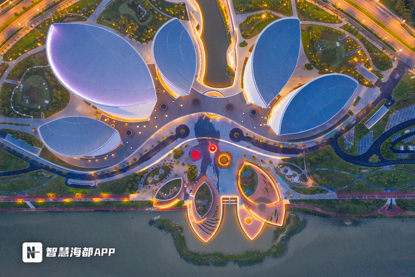 茉莉花怎么耐晒,一年开花300天养不死的花