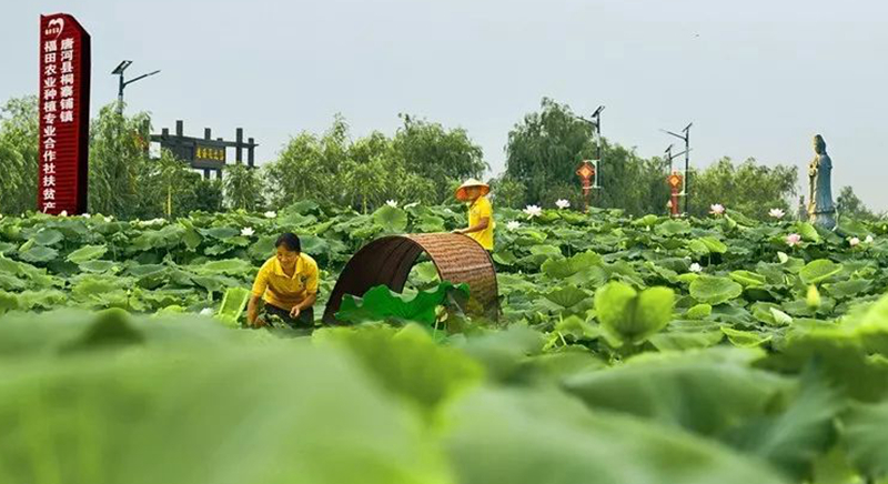 脱贫攻坚看南阳,脱贫攻坚百日会战看南阳