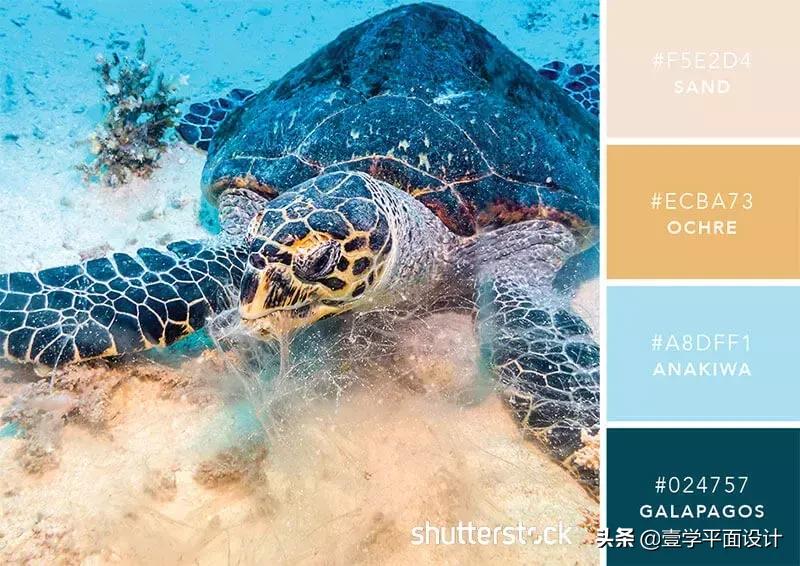 设计师钟爱的9组高级感配色方案,家装设计师配色方案色卡