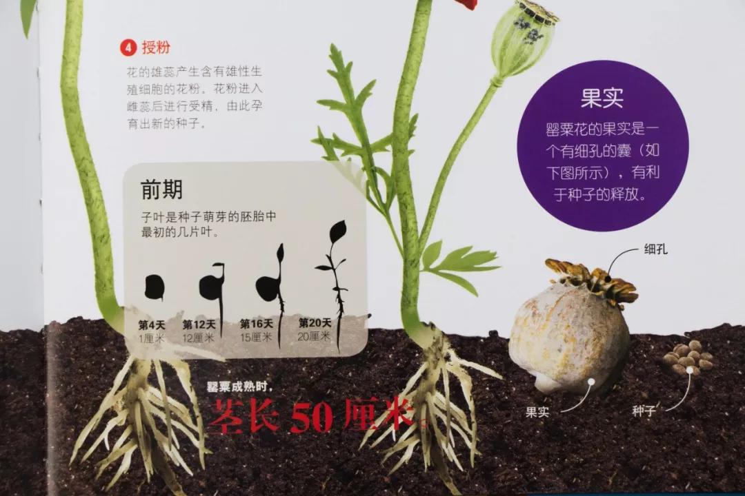 中国科学院院士讲解视频,中国科学院院士谈中国科学