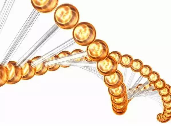 egf修护原液是干嘛的,egf修复冻干粉