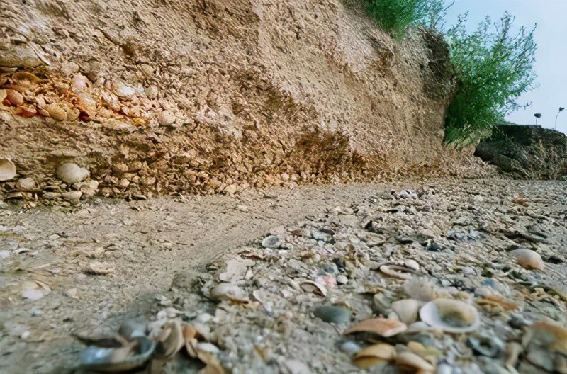 千万不要调侃1387万天津人