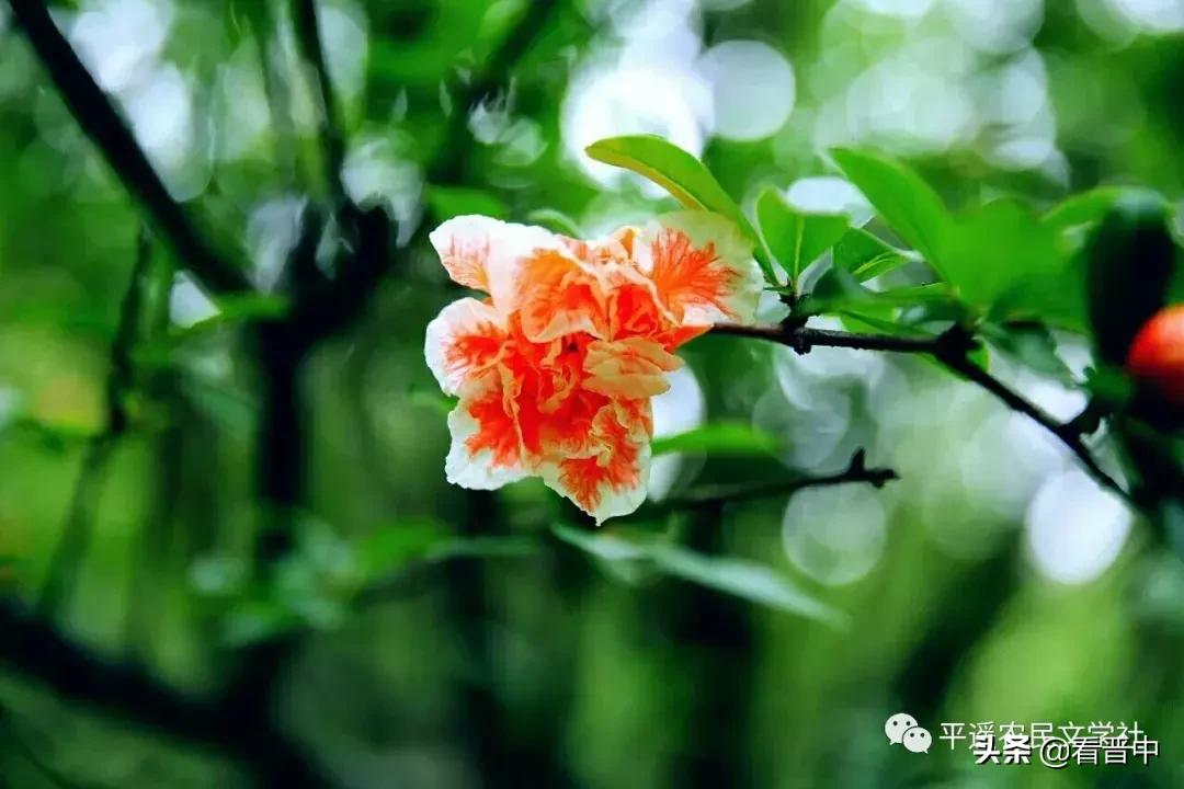 晋中婚宴,晋中旅行图文日记