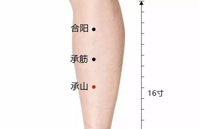 坐骨痛腰痛尿频排尿困难,坐骨神经痛尿频湿热下注