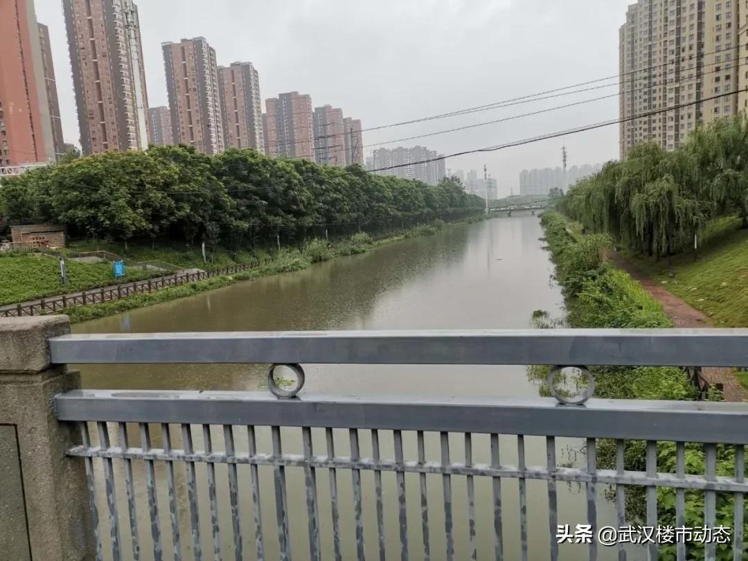 扛不住了？所有房源折上折！武昌二环惊现纯新盘，购房者有福了