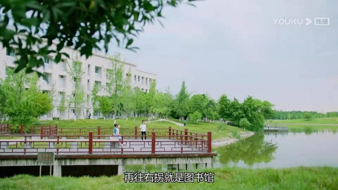 花式“虐狗”！热播剧《全世界最好的你》竟然来清水河畔“打卡”！“清水寺”的学霸们，宅家请淡定！