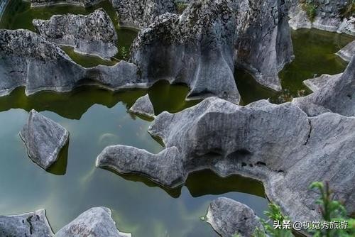 华蓥山小孩子春游,华蓥山赏雪攻略