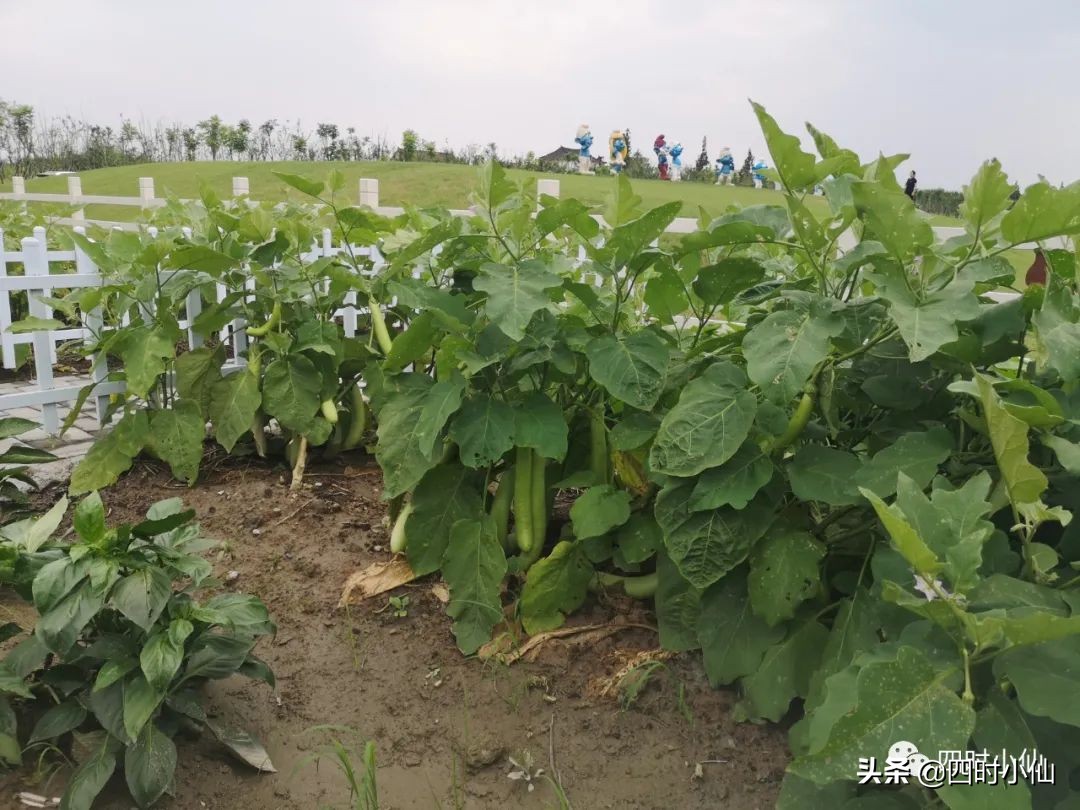 极简风网红民宿,8家网红民宿推荐