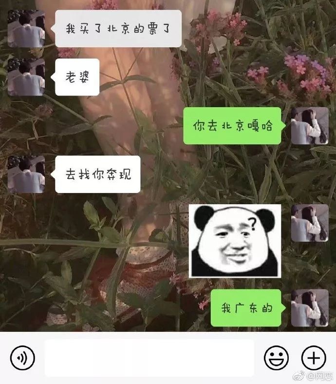 霉霉段子,霉霉的段子