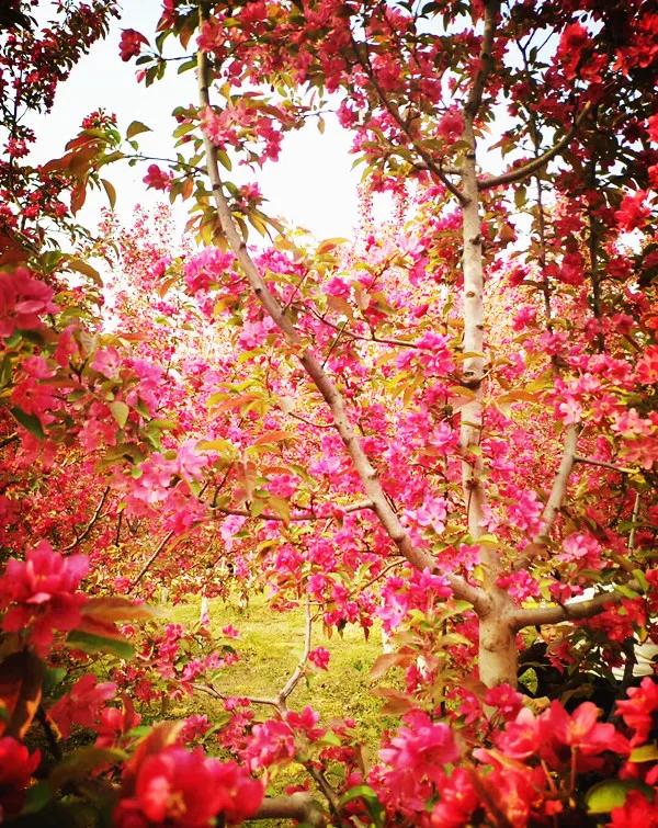 陕西咸阳鼓浪屿沙滩,咸阳沙滩景区