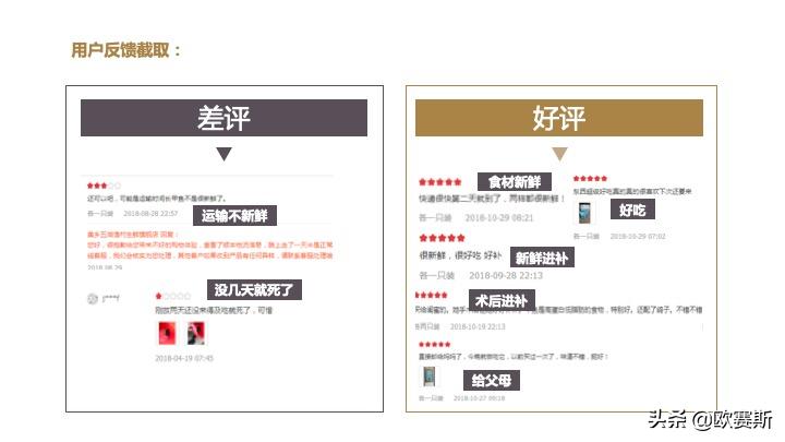 欧赛斯带你全方位洞察甲鱼市场发展趋势及竞争格局