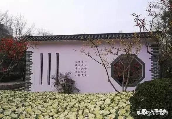 紫檀华都北院这个小区怎么样,郑州紫檀华都北院值不值得入手