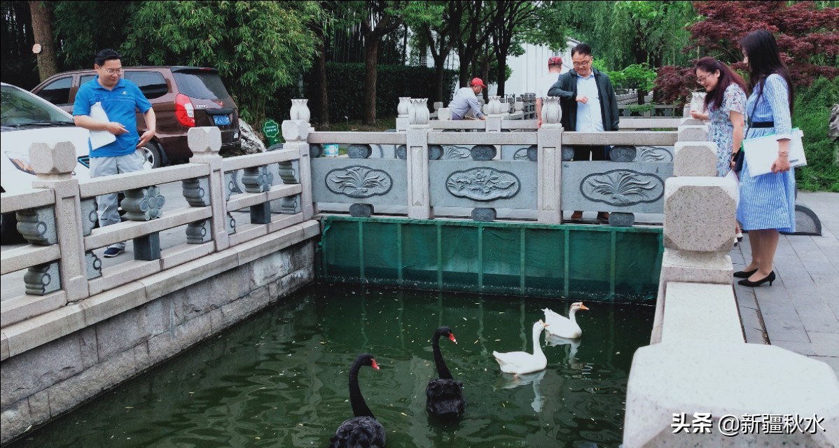 练塘古镇值得去吗,练塘古镇要门票吗