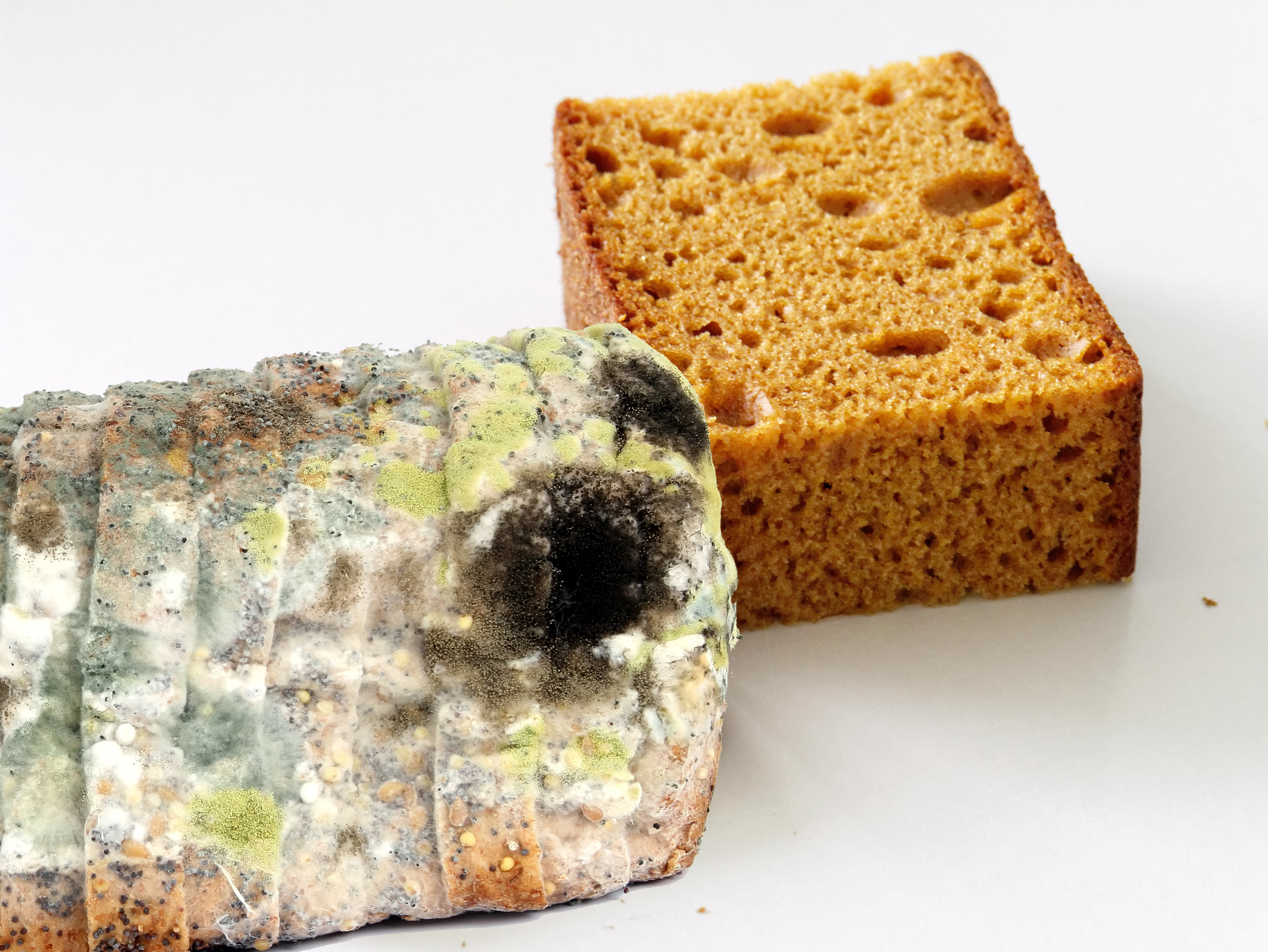 发霉的食物能闻吗,发霉的食物能吃吗翻译