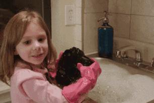 爆笑GIF动态图,爆笑gif图真正的危险总是悄然而至