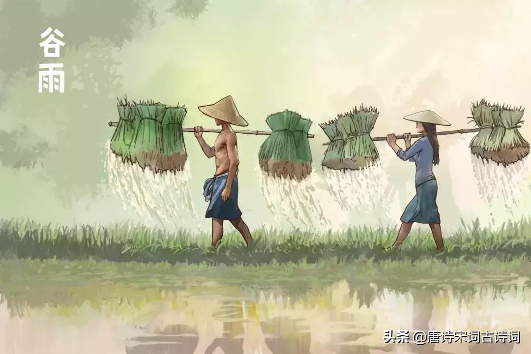 谷雨诗词大全100首,最经典谷雨诗词