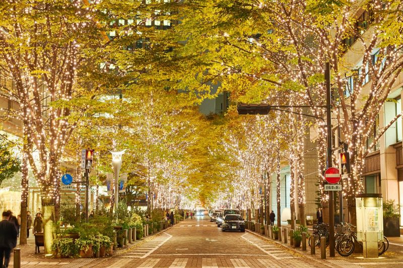 2019圣诞灯展,2019圣诞灯光秀